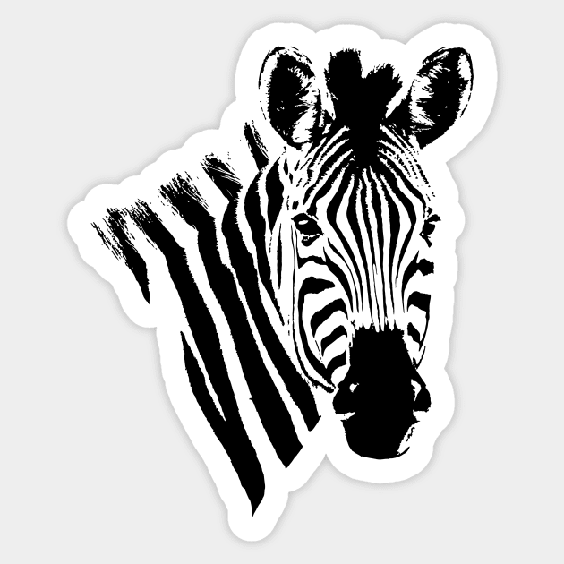 Zebra Close-up | African Wildlife Sticker by scotch